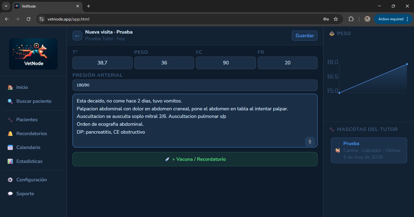 VetNode - Pantalla 4